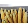 Дополнительное фото №2 - Передвижной прилавок для кукурузы Кий-В ППК-К