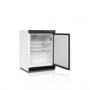 Додаткове фото №5 - Холодильна шафа 130 л Tefcold UR200